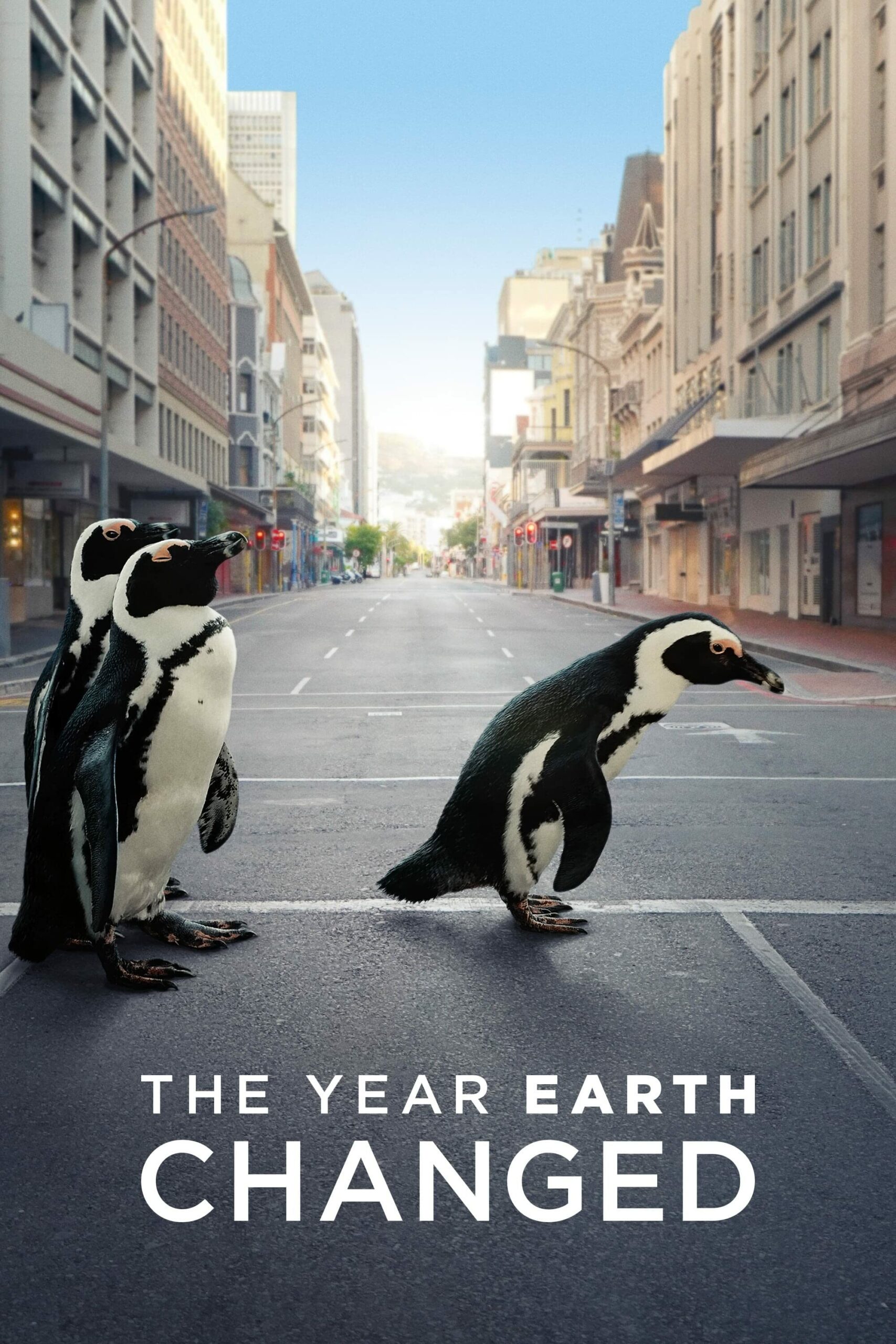 ดูหนังออนไลน์ฟรี ดูหนัง The Year Earth Changed 2021